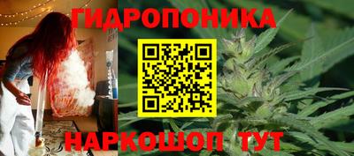 PSILOCYBIN Кунгур