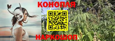 PSILOCYBIN Кунгур