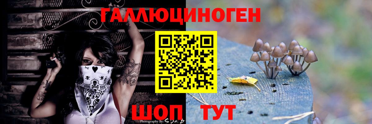 Галлюциногенные грибы прущие грибы Славгород